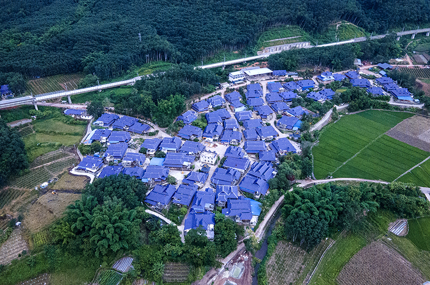 磨憨鎮(zhèn)曼莊村大龍哈小組現(xiàn)代化邊境幸福村新貌。人民網(wǎng)記者 符皓攝